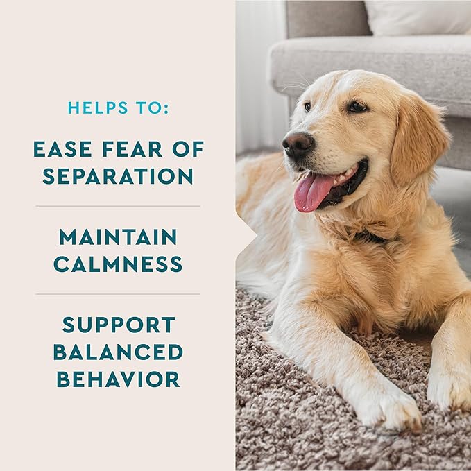 VetIQ Calming Support Supplement, Calming Chews for Dogs Help Manage Stress and Promote Relaxation, Anxiety Relief for Dogs, Made in The USA, 120 Count
