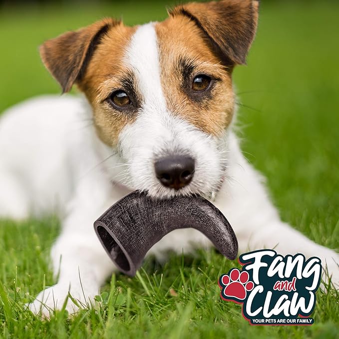 Water Buffalo Horn Dog Chew 4 Pack (Medium 6 Inch), Long-Lasting Natural Chews for Aggressive Chewers, Single-Ingredient, No Rawhide