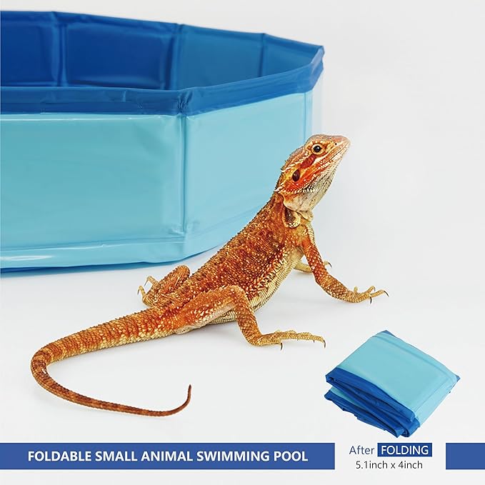 Bearded Dragon Foldable Bath Pool, Collapsible Wading Pool, Swimming Pool Bathtub for Puppy Small Dogs Cats