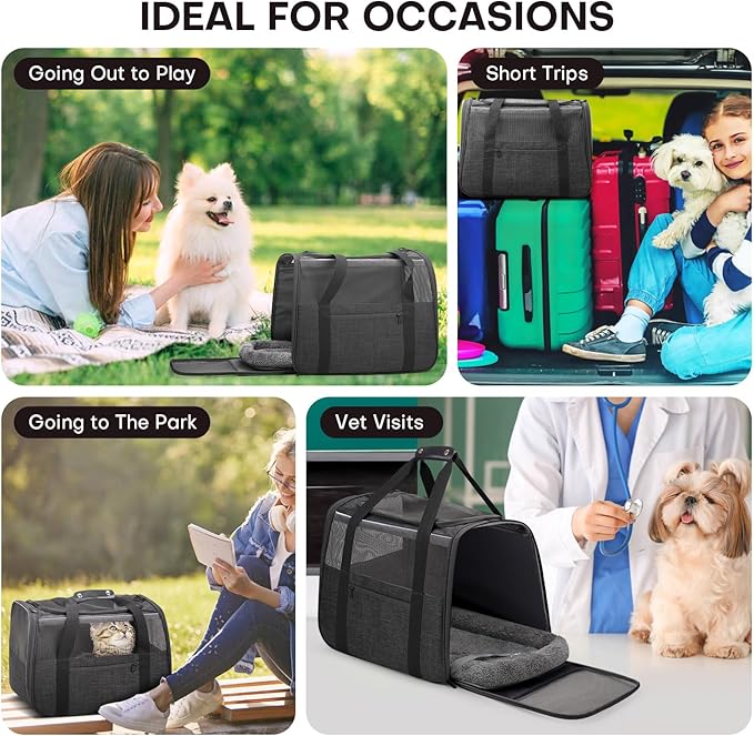 JUNGYOUN Premium Cat Carrier - Pet Carrier for Cat & Small Dogs up to 15lbs - Airline Approved Travel Dog Carrier with Anti-Escape Zippers, Collapsible Travel Bowl & Padded Strap