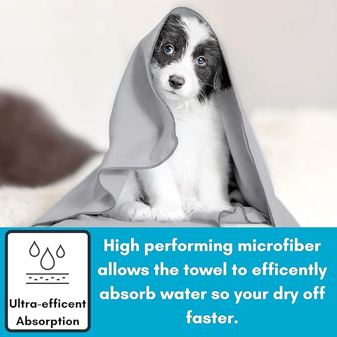 BIRDROCK HOME Multi-Purpose Microfiber Towel for The Beach, Travel, Pets or Camping - Large 31 x 63” - Grey - Quick-Dry - Absorbent Lightweight Compact - Bag - Kids Hiking Outdoor - Corner Pockets