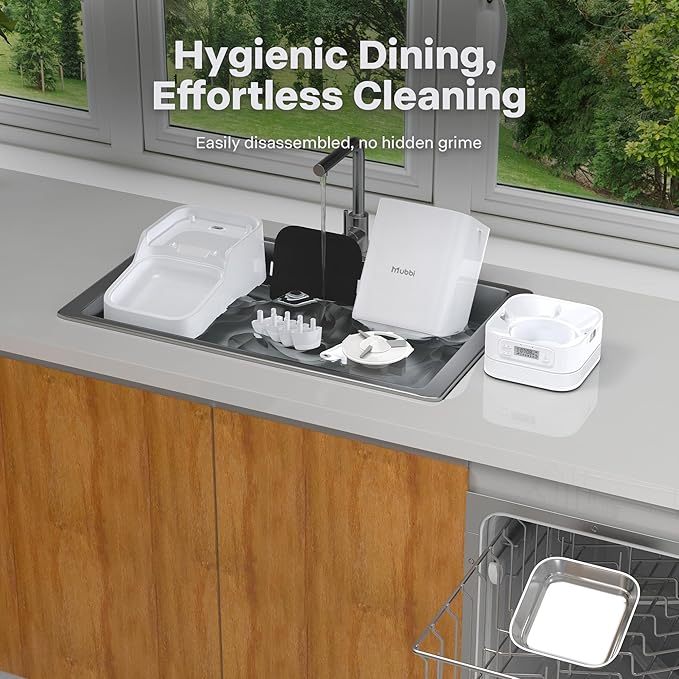 Automatic Cat Feeder with Elevated Stand, 7L/29 Cups Automatic Dog Feeder, Cat Food Dispenser, No-Jam, Up to 6 Meals for 2-15 mm Dry Food, Stainless Steel Bowl, No Spinal Pressure