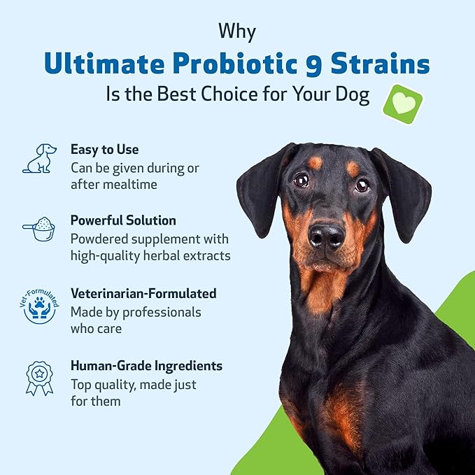 Pet Wellbeing Ultimate Probiotic 9 Strains for Dogs & Cats - Supports The Gut Microbiome and Digestion, Immune System Care, Urinary Tract Health, FOS, 2.5 Billion CFU - 11.29 oz (320 g) Powder