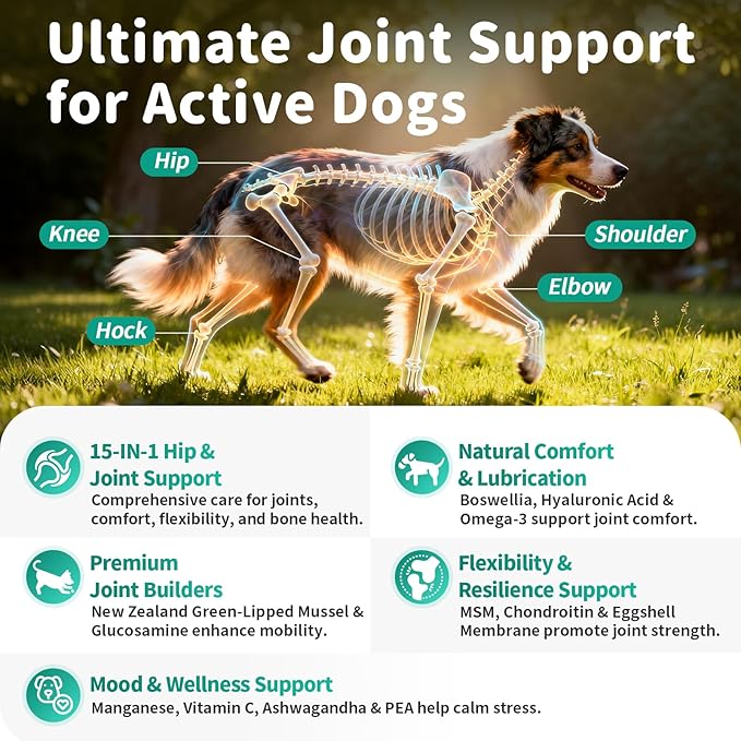 Advanced Dog Joint Supplement – 15-in-1 Glucosamine for Dogs with Chondroitin, MSM & Green Lipped Mussel – Hip & Joint Pain Relief Mobility Chews, Chicken Flavor, 90Ct Breeds