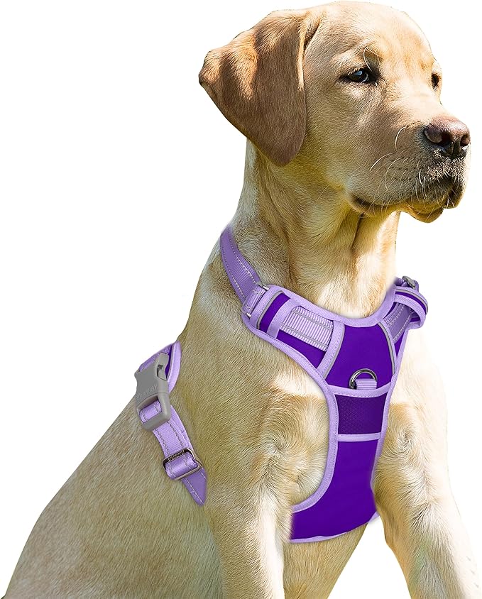 BARKBAY No Pull Dog Harness Front Clip Heavy Duty Reflective Easy Control Handle for Large Dog Walking(Violet Purple & Purple,L)
