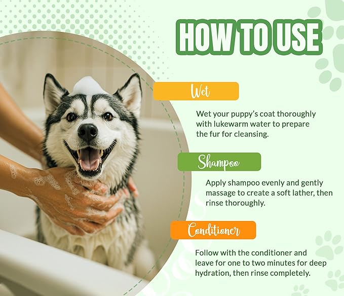 Fresh & Clean Dog Shampoo and Conditioner Set - Deodorizing Odor Control Wash with Lavender & Rosemary - Deep Cleansing Moisturizing Formula for Smelly Dogs -16 fl oz Each by Alfie’S Choice