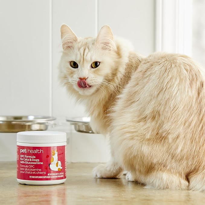 Pet Health OPC Formula with Glucosamine for Dogs & Cats, Beef Flavor – Joint Support, Healthy Circulation, Antioxidant Protection, Supports Cardiovascular & Visual Health (90 Servings)