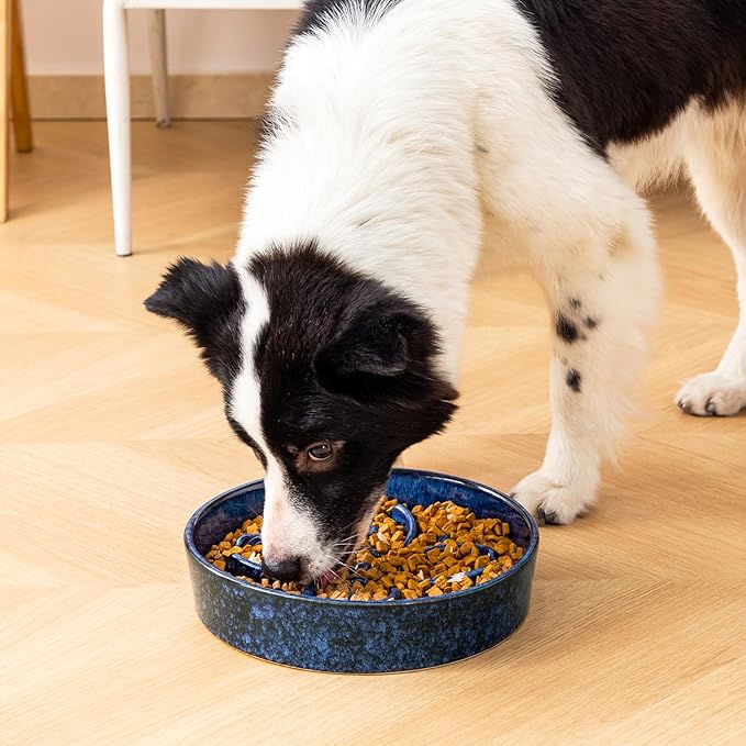 vancasso Ceramic Slow Feeder Dog Bowls, Puzzle Dog Food Bowls with Floral Maze, Anti -Slip Pet Food Dish for Large Breed, 3 Cups, Blue