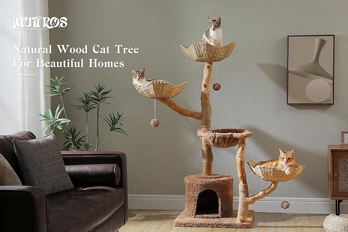 59" Cat Tree Tower with Real Solid Wood Natural Branch, Modern Cat Tree for Large Cats w/3 Handwoven Wicker Baskets- Luxury Boho Cat Furniture w/Condo & Soft Hammock, Scratching Post, Brown