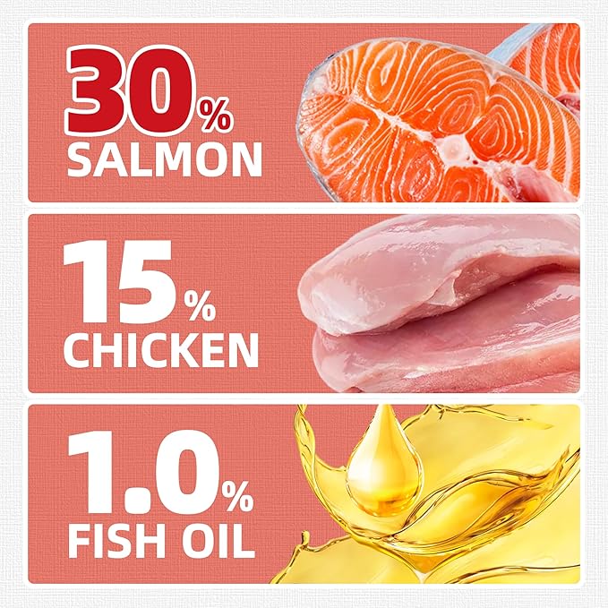 Just Try 16 OZ Salmon Cat Treats for Indoor Cats, Crunchy Training Treats Dental Care Omega 3 for Cats Joint Support & Skin Coat Health