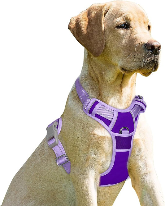 BARKBAY No Pull Dog Harness Front Clip Heavy Duty Reflective Easy Control Handle for Large Dog Walking(Violet Purple & Purple,XS)