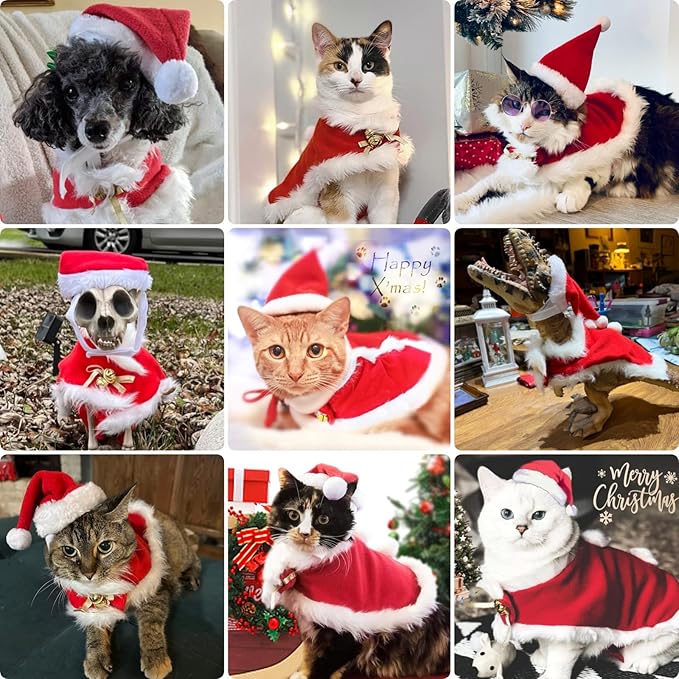 Cat Christmas Hat with Cloak, Small Dog Santa Costume, Pet Christmas Costume Suit for Cats Puppy Rabbits Doll, Santa Claus Set, Red S