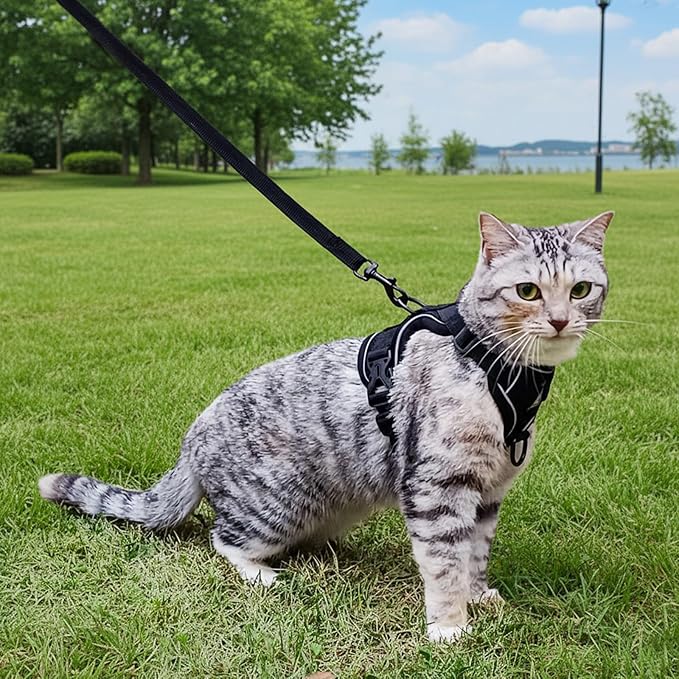 Cat Harness and Leash Set Escape Proof Tactical Large Kitten Harness Emotional Support Cat Vest, Black, L
