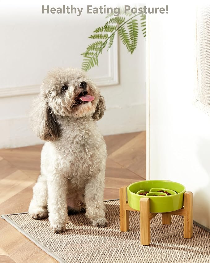 Ceramic Slow Feeder Dog Bowls Elevated, 0.6 Cup Slow Feeder for Small Dogs and Cats, Puzzle Maze Bowl, Prevents Choking, 6in, Green