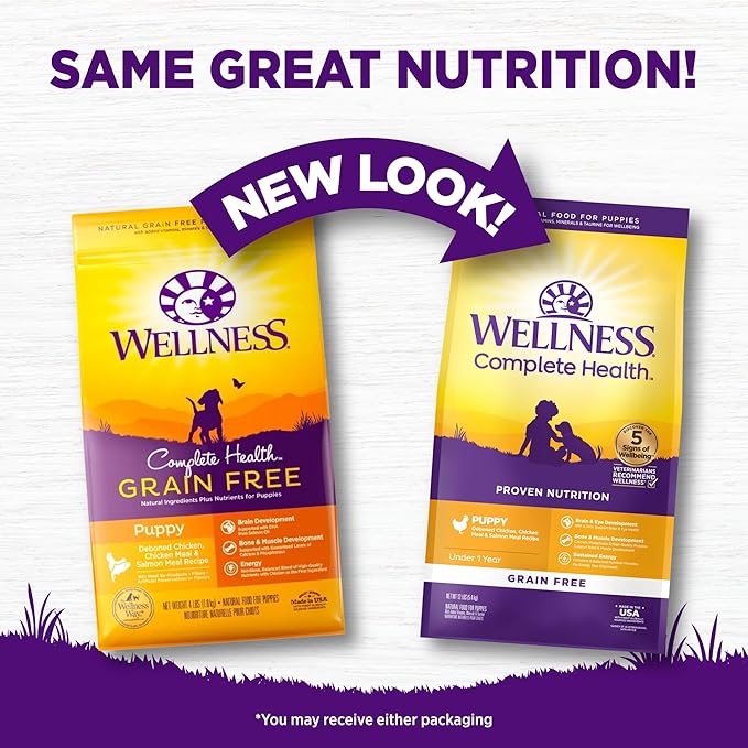 Wellness Complete Health Puppy Dry Dog Food, Grain Free, Natural, Chicken & Salmon Recipe, (12-Pound Bag)