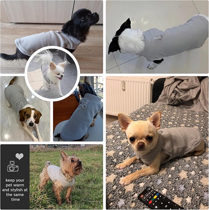 PETCARE Small Dog Sweater Cat Fleece Vest Soft Dog Jacket with Leash O-Ring Winter Warm Pet Pullover Coat Puppy Clothes for Small Dogs Cats Chihuahua Apparel Shih Tzu Costume, Grey