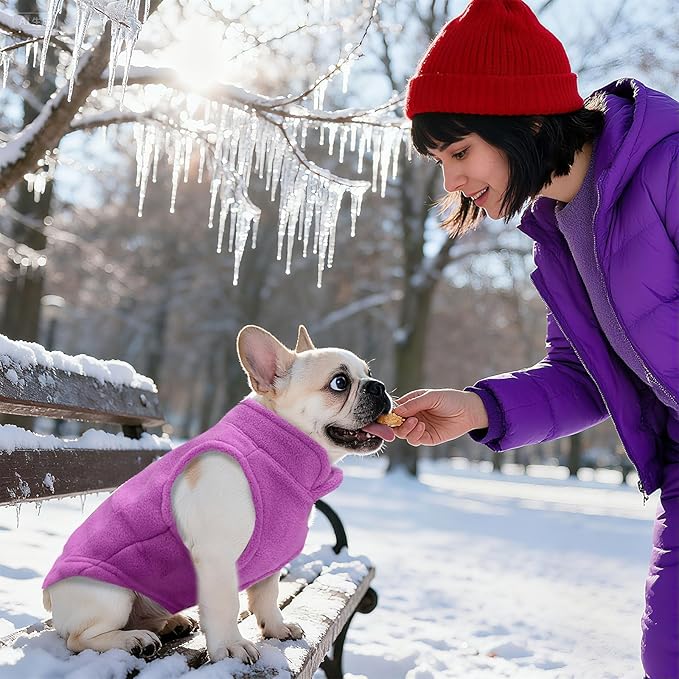 PETCARE Small Dog Sweater Cat Fleece Vest Soft Dog Jacket with Leash O-Ring Fall Winter Warm Pet Pullover Coat Puppy Clothes for Small Dogs Cats Chihuahua Apparel Shih Tzu Costume, Purple