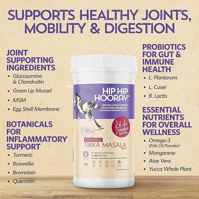Fidobiotics Hip & Joint Support for Dogs, Daily Probiotics for Dogs with Glucosamine & Chondroitin for Gut Health and Mobility, Turmeric Tikka-Masala Flavor - 20 Servings