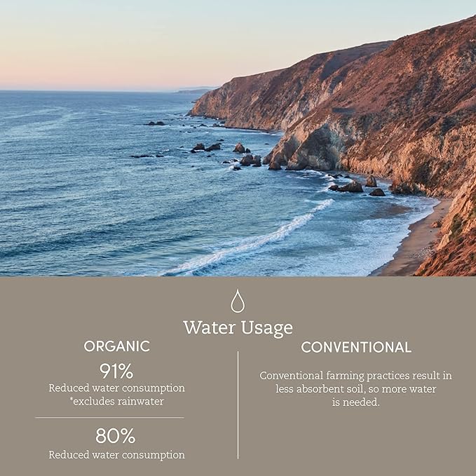 Coyuchi Cloud Loom Organic Towels, Bath Sheet - Alpine White (39" x 65")