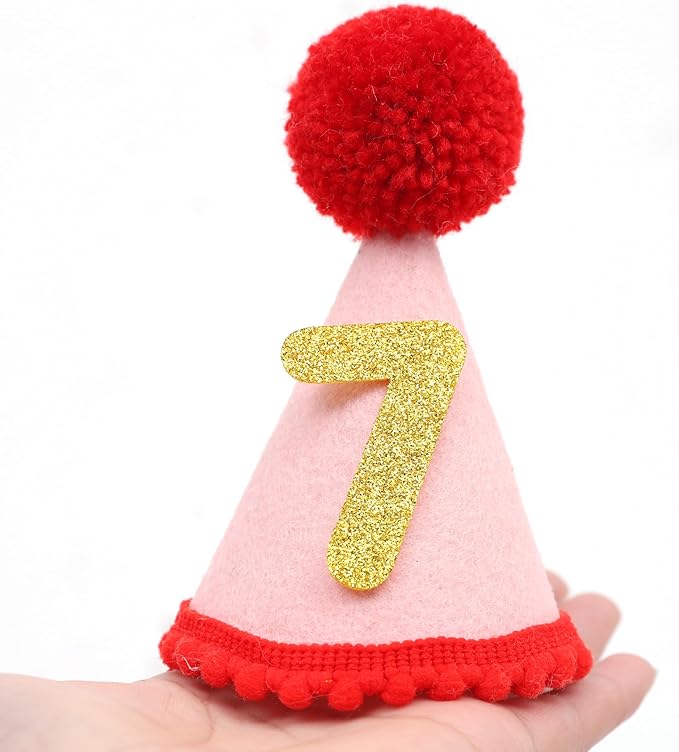 Pet Birthday Hat with Interchangeable Numbers 1-10 | Adjustable Pet Party Cone Hat for Dogs & Cats | Puppy Birthday Photo Props for 1st to 10th Birthday Celebrations (Red Pink Birtgday Pet Hat)