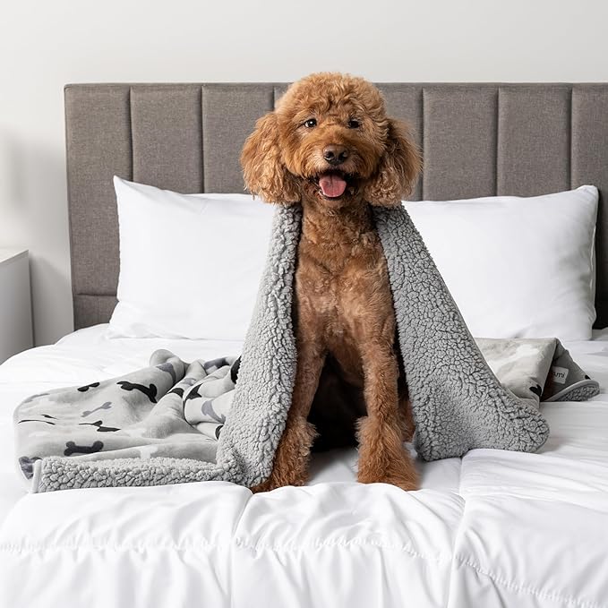 PetAmi Waterproof Dog Blanket Sherpa Fleece, Pet Small Medium Dog, Reversible Large Cat Throw Bed Couch Sofa Furniture Protector Soft Plush Microfiber (Small 24x32, Bone Print Gray), (24x32)