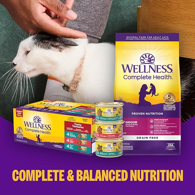 Wellness Complete Health Pate Adult Wet Cat Food, Natural, Protein-Rich, Grain Free, 12.5 Ounce, 12 Pack, (Beef & Chicken)