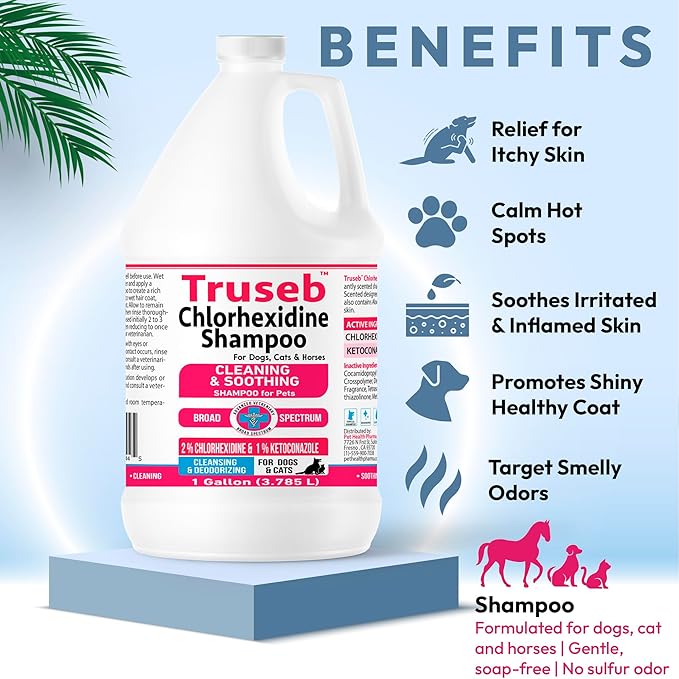 Truseb Topical Ketoconazole and Chlorhexidine Shampoo for Dogs, Cats & Horses Pleasantly Scented with a Cucumber Melon Scent with Aloe (Ketoconazole & Chlorhexidine Shampoo, 1 Gallon)