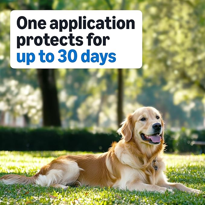 Amazon Basics Flea and Tick Topical Treatment for Medium Dogs (23-44 Pounds), 6 Count, Packaging May Vary