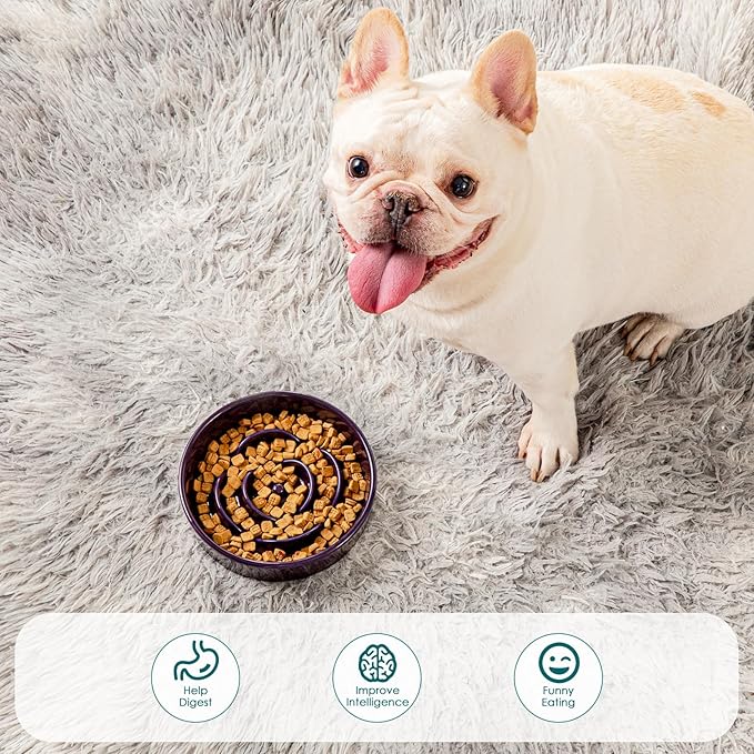 vancasso Slow Feeder Dog Bowl, 0.6 Cups Ceramic Dog Food Dish for Fast Eaters Small Breed, Puzzle Bowl for Small Dogs and Cats, Dark Purple