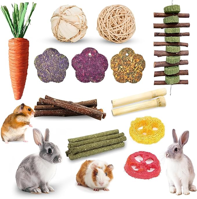 WDEFUN 21-Piece Natural Small Pet Chew Toys Set for Rabbits, Hamsters & Organic Grass Mat, Hay Sticks, Loofah Slices, Wooden Chews & More for Dental Health & Boredom Relief
