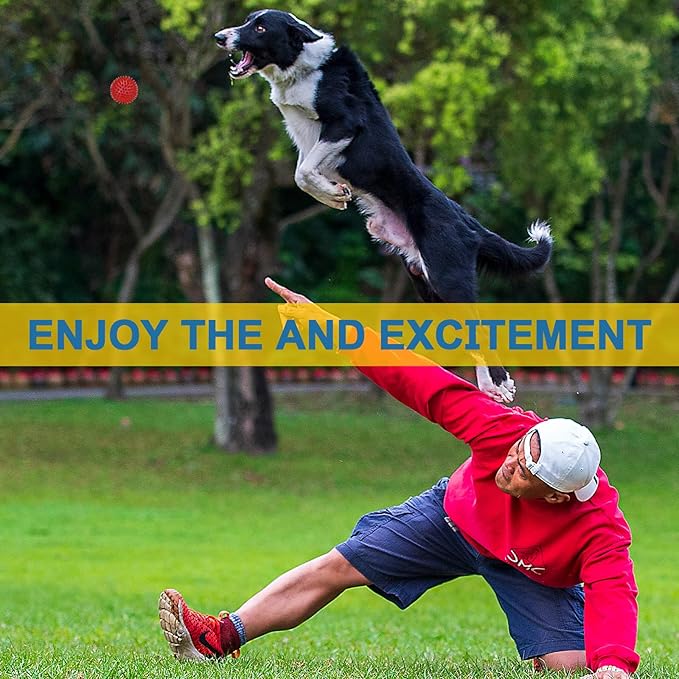 Beieverluck 12 Pack 2.5 Inch Squeaky Dog Toy Balls Spikey Dog Balls Large Dog Chew Toys for Medium Large and Small Dogs for Aggressive Chewers, 6 Colors