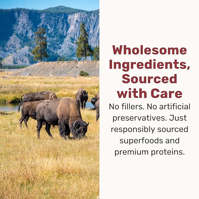 BADLANDS RANCH Superfood Nuggets – Freeze-Dried Raw Dog Treat & Food Topper, Nutrient-Dense Bison & Kale Formula, No Artificial Additives, 8oz Bags (4-Pack Bundle)