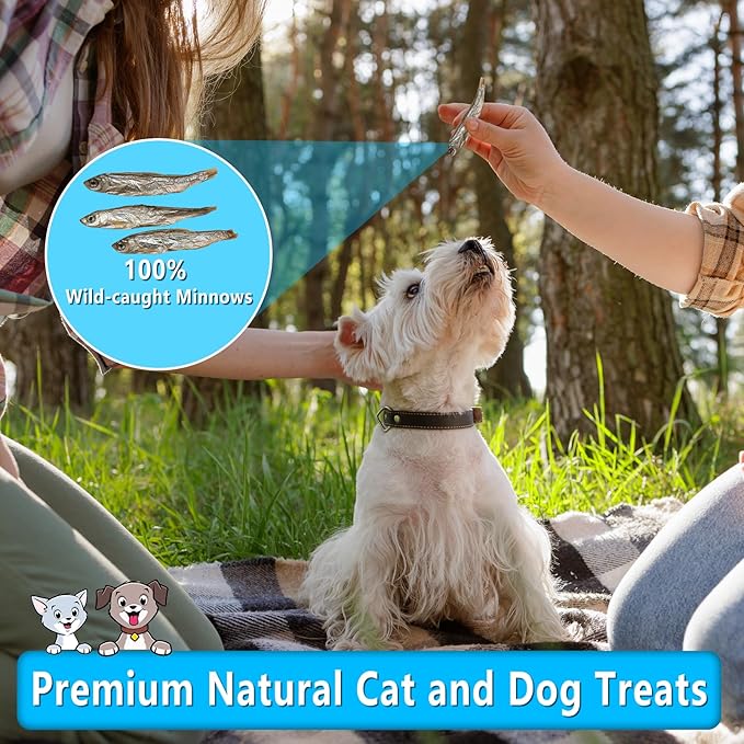 Minnows, 100% Natural Air Dried Minnows for Dog & Cat, Grain-Free, High-Protein, 100% Natural Premium Cat & Dog Treats 4.5 oz
