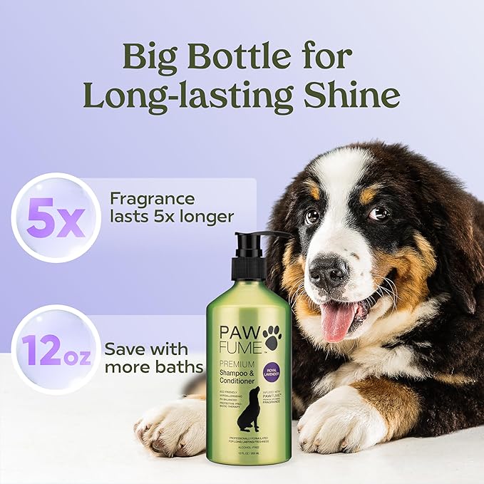 PAWFUME Dog Shedding Shampoo and Conditioner, Royal Lavender, 1-Pack – Nourish & Detangle for Silky Soft Coat – Probiotic, Deep-Cleaning, pH-Balanced – Salon-Quality Shedding Shampoo for Dogs