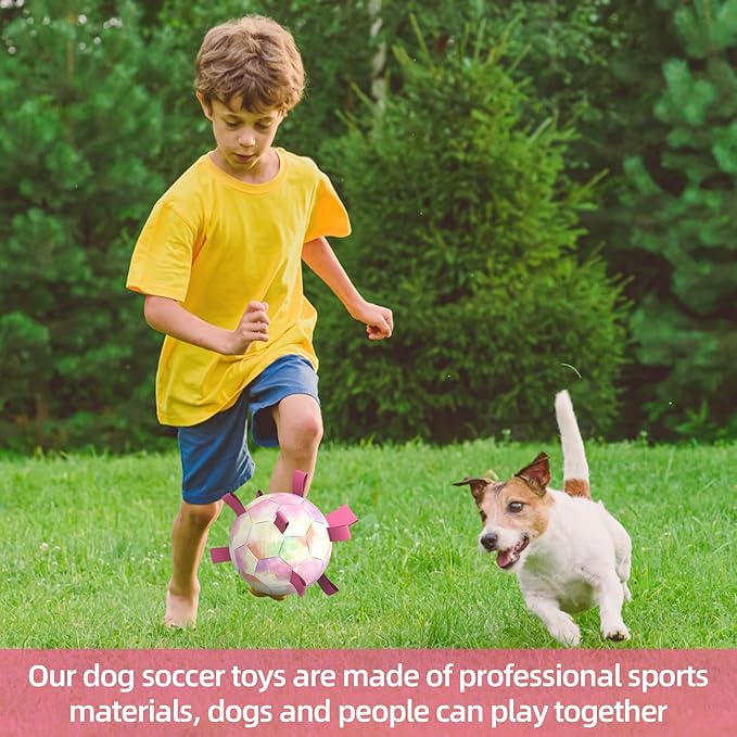 QDAN Dog Balls: Herding Ball for Dogs, Outdoor Toys Dog Soccer Ball with Straps, Interactive Pet Toys for World Cup Large Dogs Tug of War, Pet Birthday Gifts,Gradient Rainbow (8 Inch)