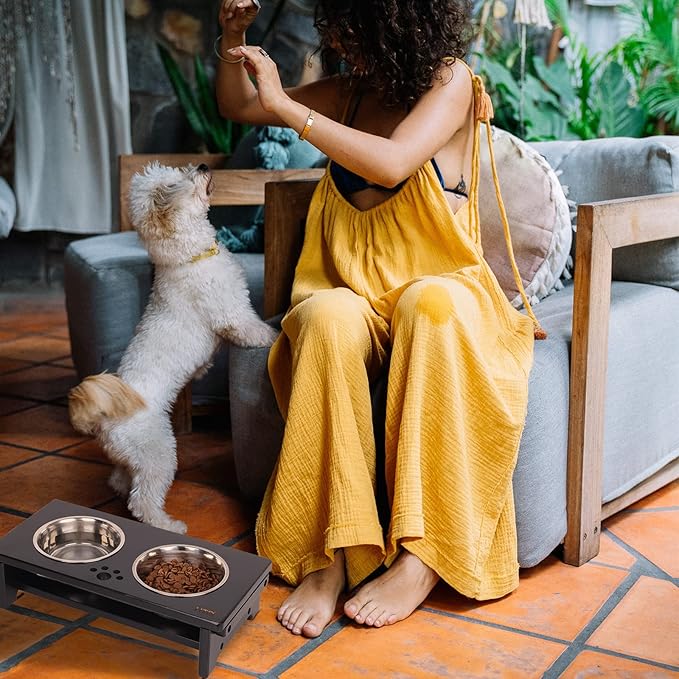 HTB Elevated Dog Bowls, Raised Dog Bowl Stand with 2 Stainless Steel Bowls, Elevated Raised Dog Bowls for Large Medium Small Sized Dogs- Black Small