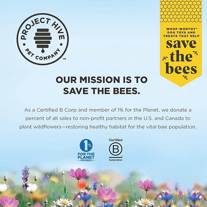 Hive Treats for Dogs Ñ Healthy, Non-GMO Project Verified, Natural Peanut Butter Flavored, Natural, Vegetarian Chews, Made in The USA (Hive Chews, Small Breeds)