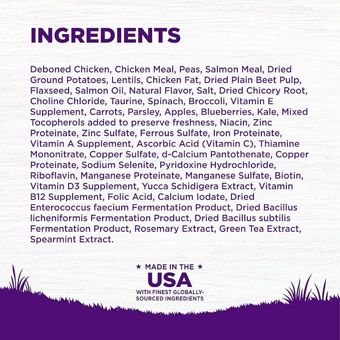 Wellness Complete Health Puppy Dry Dog Food, Grain Free, Natural, Chicken & Salmon Recipe, (12-Pound Bag)