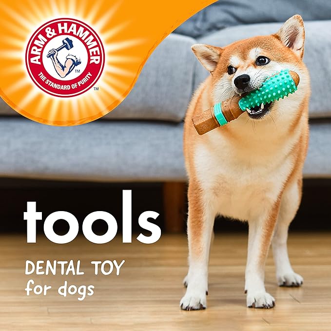 Arm & Hammer for Pets Chew Tools Collection: Wood Blend Paintbrush Chew Toy for Dogs | Compressed Wood Dog Chew Toys with Baking Soda, Safer & Durable Alternative to Chewing Sticks 7.5 Inch