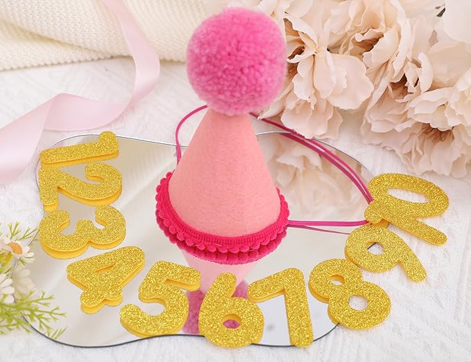 Pet Birthday Hat with Interchangeable Numbers 1-10 | Adjustable Pet Party Cone Hat for Dogs & Cats | Puppy Birthday Photo Props for 1st to 10th Birthday Celebrations (Pink Birthday Pet Hat)