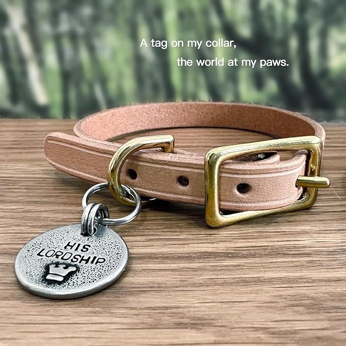 Artistic Handmade Hammered Collar Cat Dog ID Tags with Unique Handcrafted Design and Durable Stainless Steel, Personalized Deep Engraving with Your Own Text (Wakemeforfood)