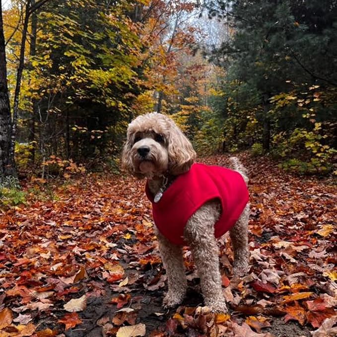 JACKO & CO - Fleece Vest Dog Sweater with Leash Ring - Soft, Warm & Lightweight Pullover Coat for Small & Medium Dogs, Puppies & Cats - Cozy Fall/Winter/Spring Pet Jacket (Red, XX-Large 25-35lbs)