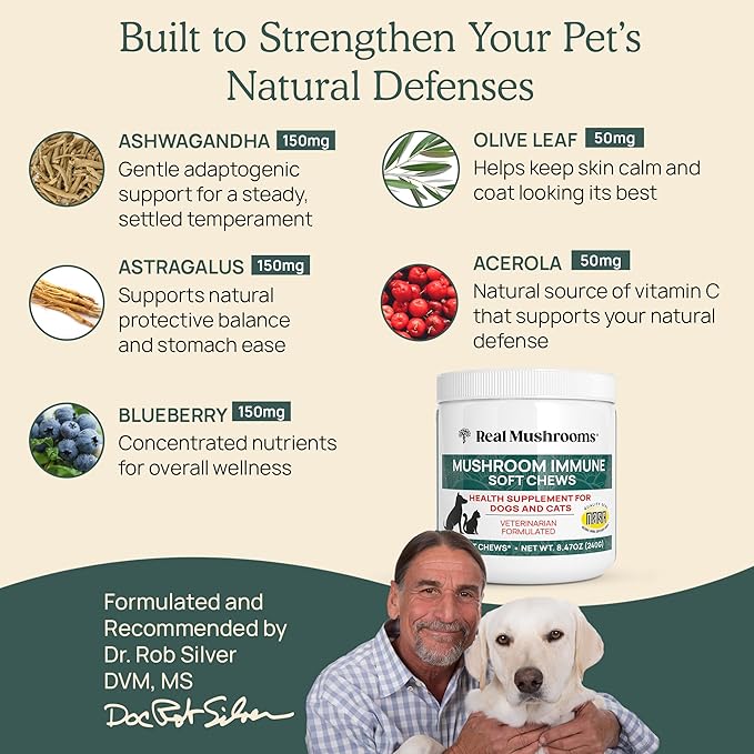 Real Mushroom Immune Pet Chews – For Daily Digestive & Immune Health – Mushrooms for Dogs & Cats Functional Treat – Mushroom Supplement for Dogs & Cats – 1 to 4 Chews For All Breeds & Sizes (60 Count)
