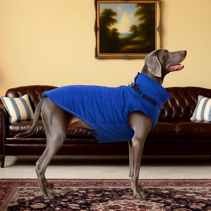 Kuoser Dog Coat, Dog Jackets for Large Dogs, Doggie Winter Coat for Cold Weather, Warm Snow Jacket Pet Apparel Clothes for Great Dane, Blue XXXL