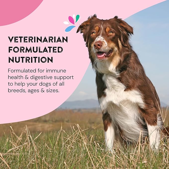 Daily Wellness Supplements for Dogs | Probiotic & Prebiotic Benefits with Fish Oil & Seaweed to Keep Your Dog Beaming All Day Long | All Breeds and Sizes | 120 Count