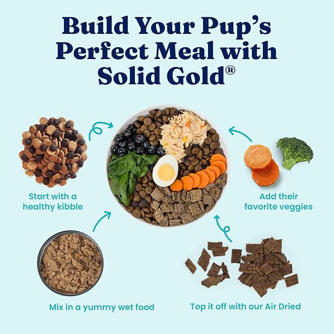 Solid Gold Canned Dog Food for Adult, Puppy & Senior Dogs - High Calorie, High Protein Wet Dog Food w/Real Chicken, Whole Grains & Superfoods for Gut Health - Small, Medium & Large Breed Dogs -6 Pack