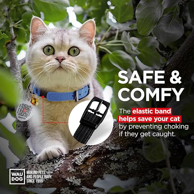 Leather Cat Collar with Bell & Elastic Strap - Pet Collar Leather - Kitten Collar - Small & Big Cat Collar for Boy & Girl Cats with Safety Elastic Strap (Blue, 8" - 12")