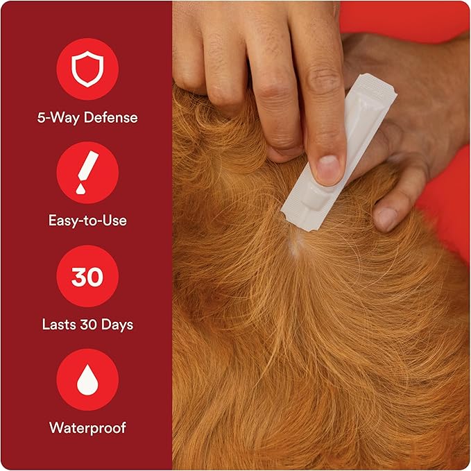 Advecta Ultra Flea and Tick Prevention for Dogs - Medium Dog Flea and Tick Treatment & Control - Mosquito Repellent - Fast Acting Waterproof Topical Drops, 6 Month Supply