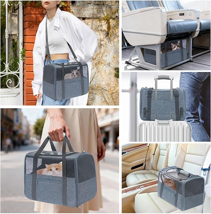 JUNGYOUN Premium Cat Carrier - Pet Carrier for Cat & Small Dogs up to 15lbs - Airline Approved Travel Dog Carrier with Anti-Escape Zippers, Collapsible Travel Bowl & Padded Strap