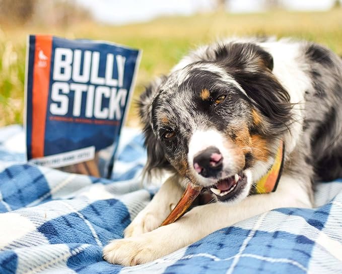 Wild Wolf 12-inch Angus Bully Sticks (8oz./~5 Sticks) Healthy, All-Natural, Long-Lasting Dog Chew Bones - Low Odor - Mixed Thickness - Lab-Tested, Hand-Inspected and Packed with Love in The USA